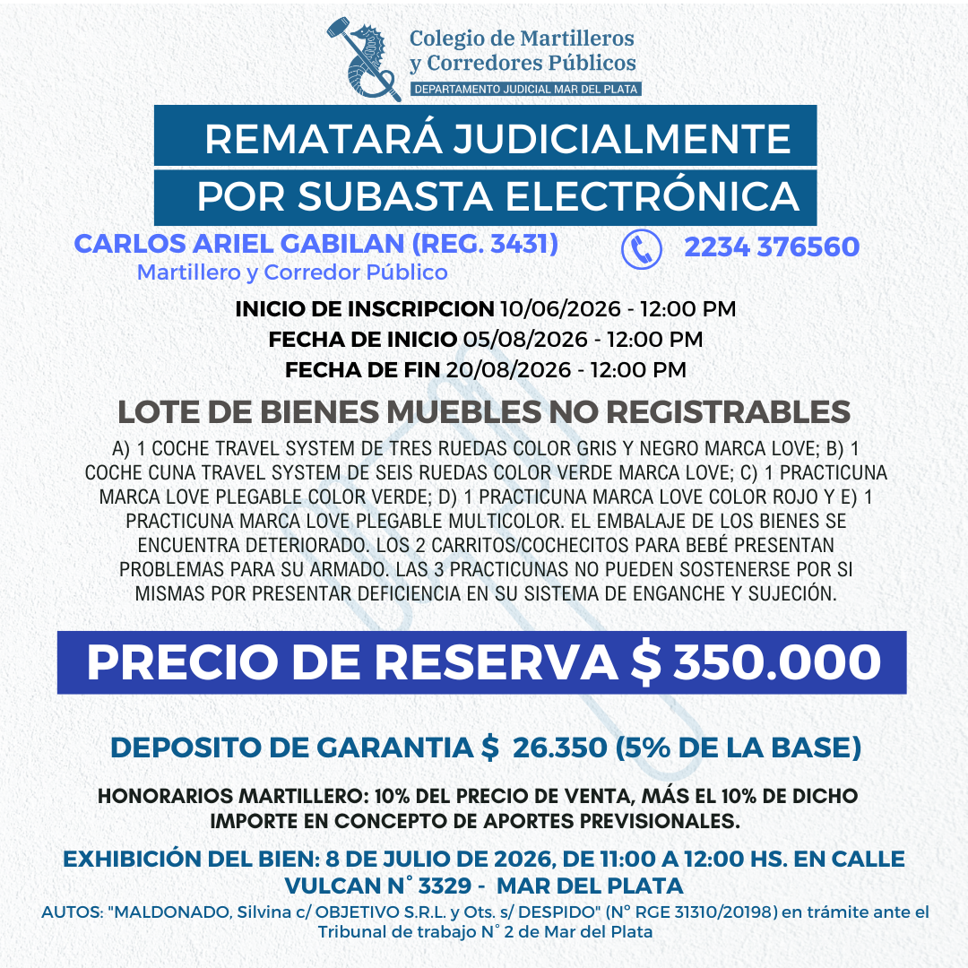 LOTE DE BIENES MUEBLES NO REGISTRABLES